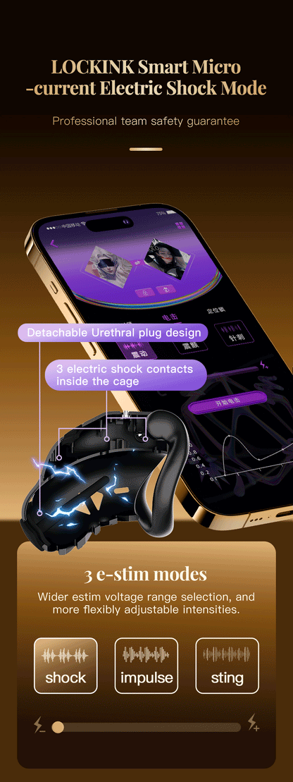 Design specifications for a black app control multifunctional male chastity cage