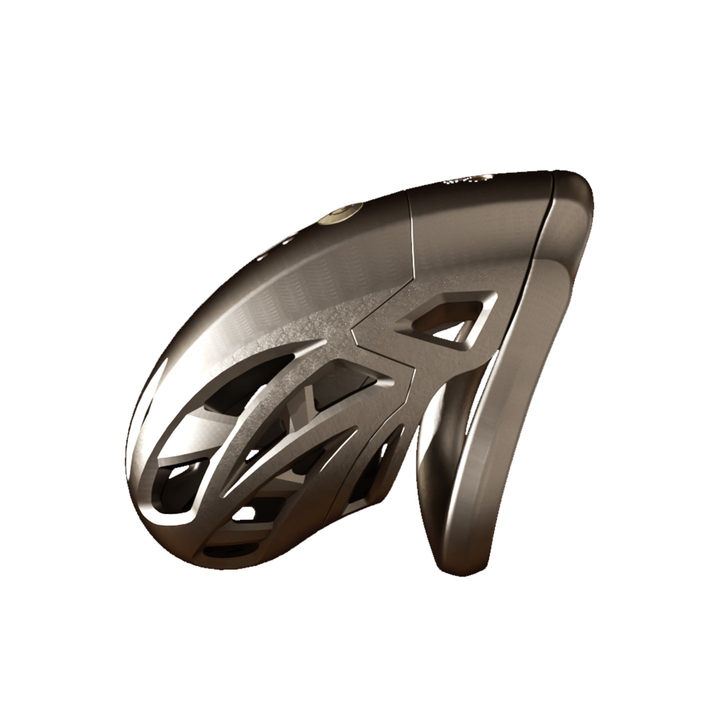 bronze metal male chastity cage