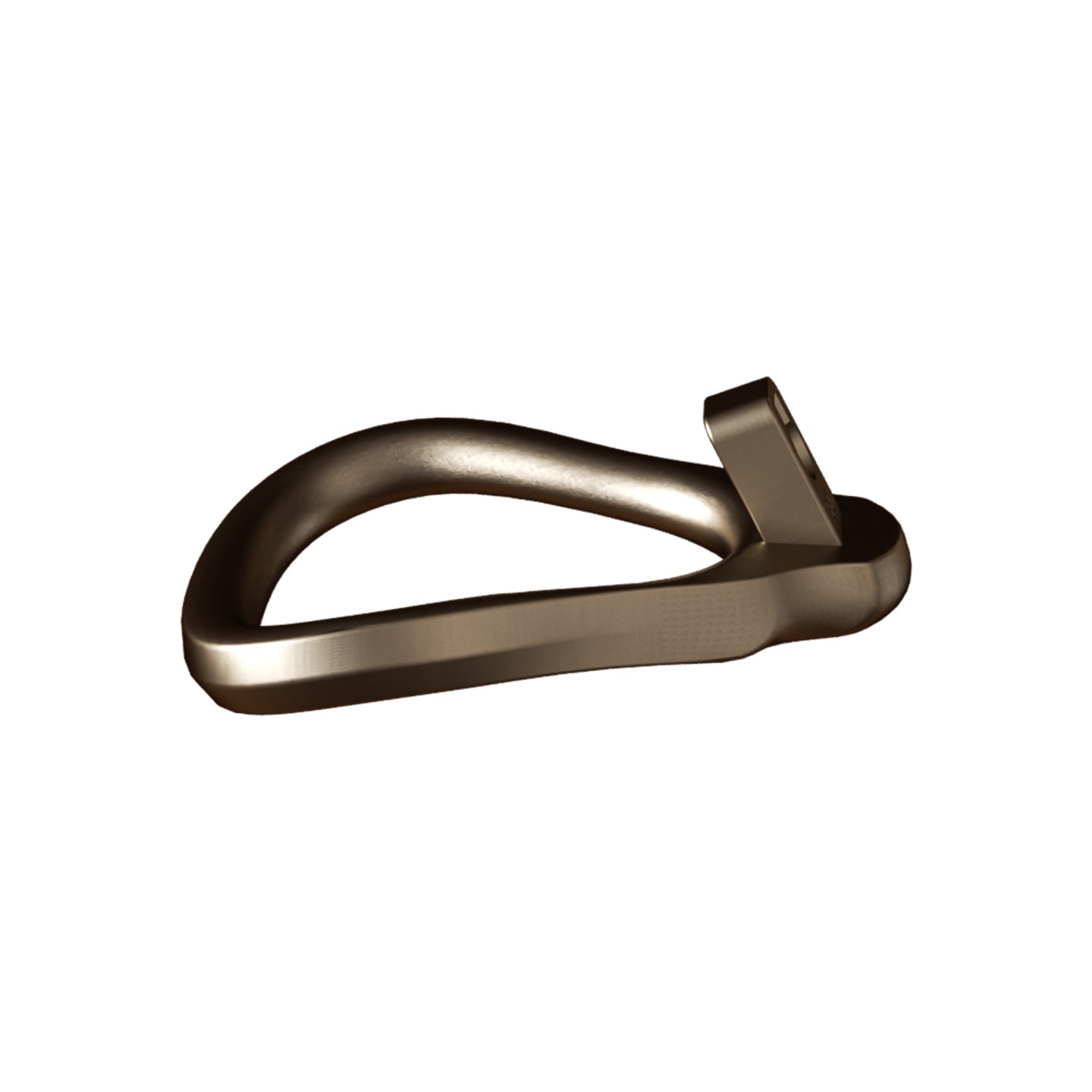 Close-up of the lock on the bronze metal male chastity cage